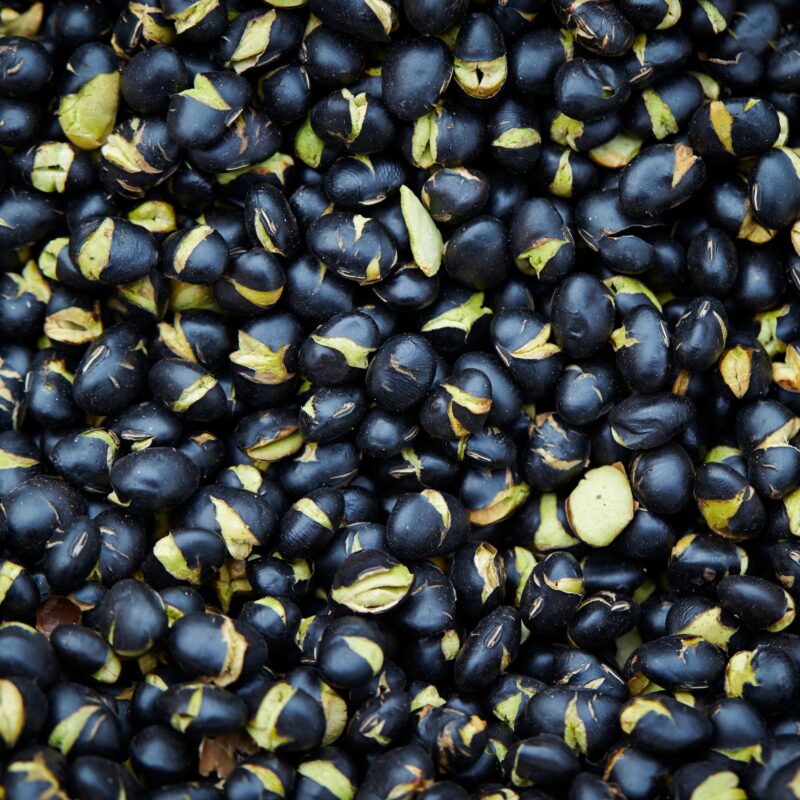 Unsweetened Black Soybean Powder