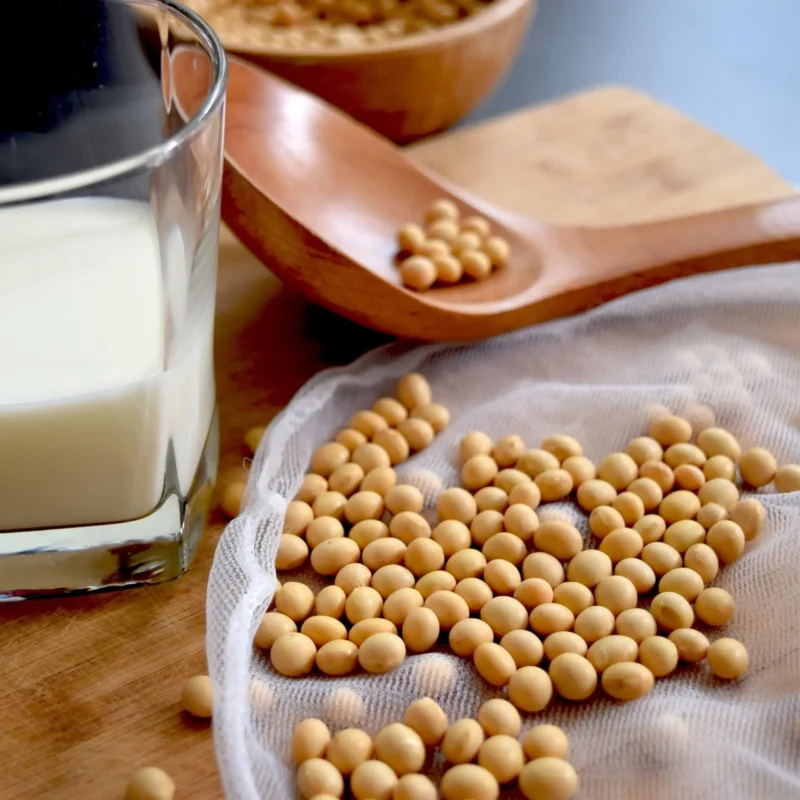 Unsweetened Soybean Powder